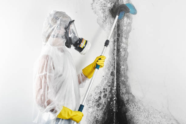 Best Residential Mold Inspection & Testing  in Keizer, OR
