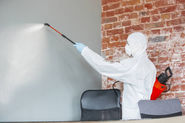 Best Mold Documentation for Insurance Claims  in Keizer, OR