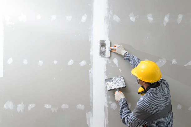 Best Water Damage & Mold Remediation  in Keizer, OR