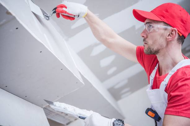 Best Black Mold Removal  in Keizer, OR